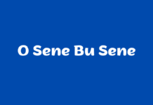 O Sene Bu Sene